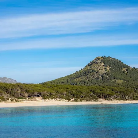 Grillo 卡拉纳雅达