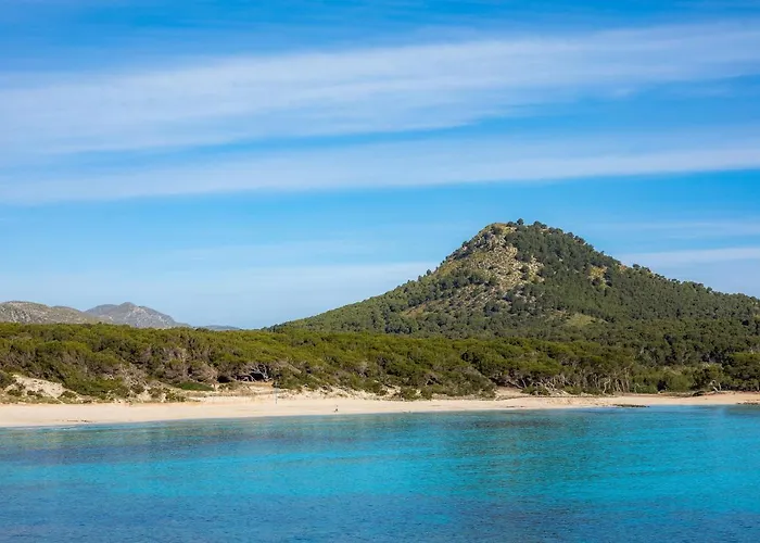 Grillo Cala Ratjada (Mallorca)